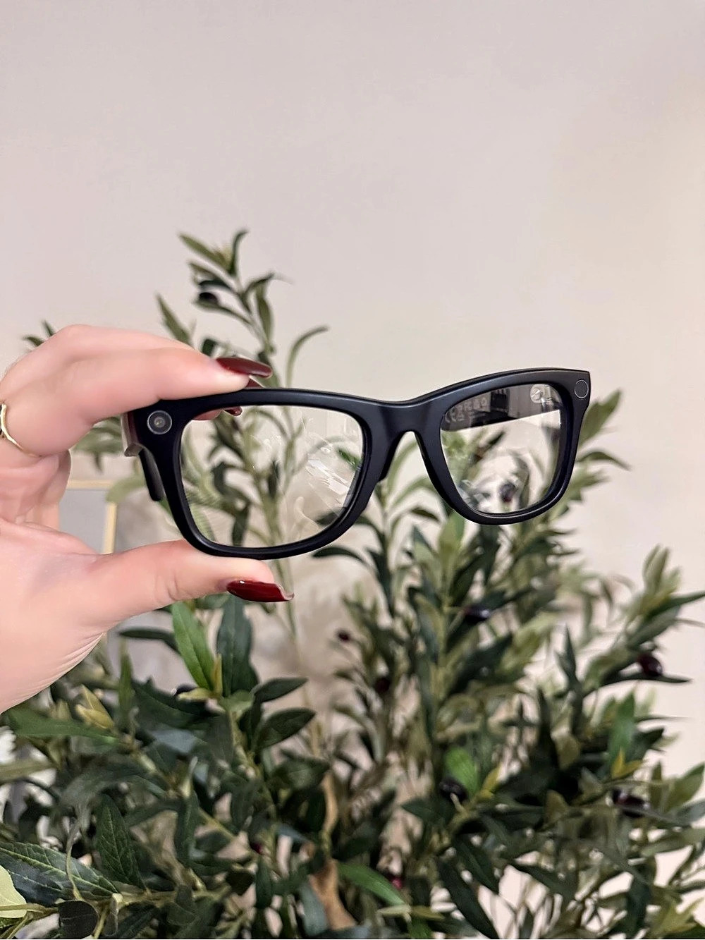 Ray-Ban Meta Wayfarer Smart Glasses Black & Brown with Case
